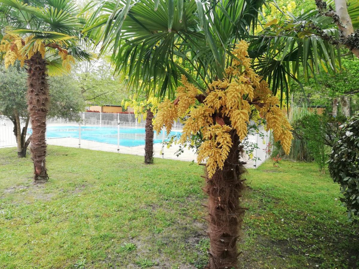 Petite Maison De Vacances Otel Onesse-et-Laharie Dış mekan fotoğraf